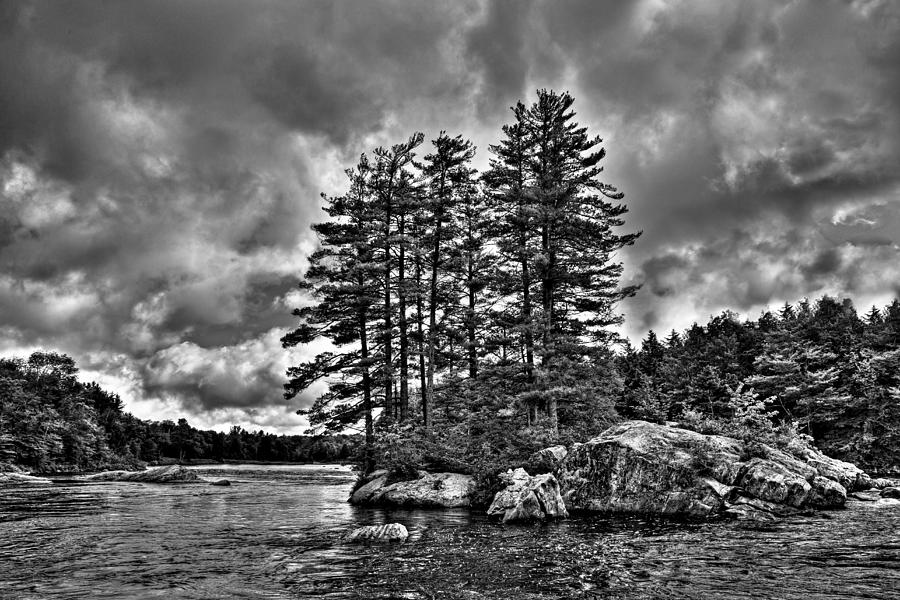Black And White Photograph - Island Pines on the Moose River by David Patterson