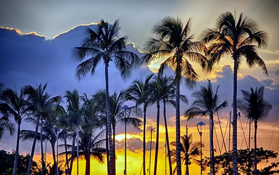 Island Sunset Photograph by AJ Schibig