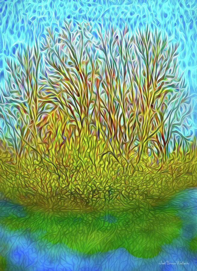 Island Tree Reflections Digital Art by Joel Bruce Wallach