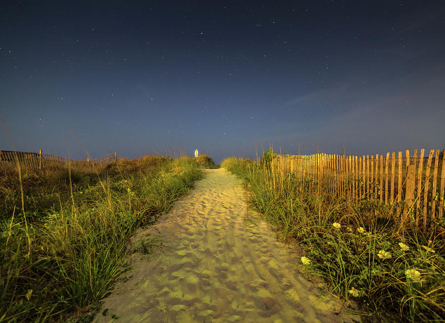 Isle of Palms Beach Path Photograph by Donnie Whitaker