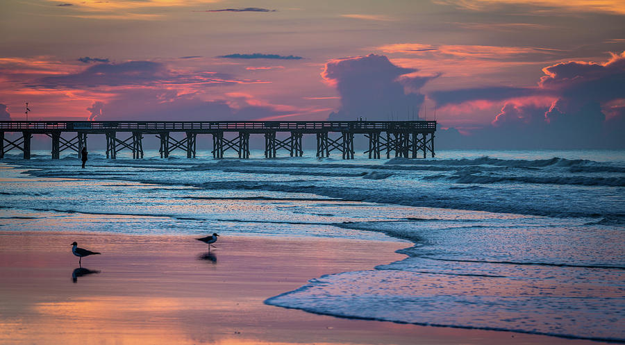 Isle of Palms Morning Photograph by Donnie Whitaker