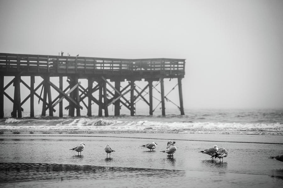 Isle of Palms Pier and Fog Photograph by Donnie Whitaker