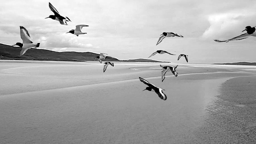 Isle of Skye Scotland United Kingdom Photograph by Paul James Bannerman