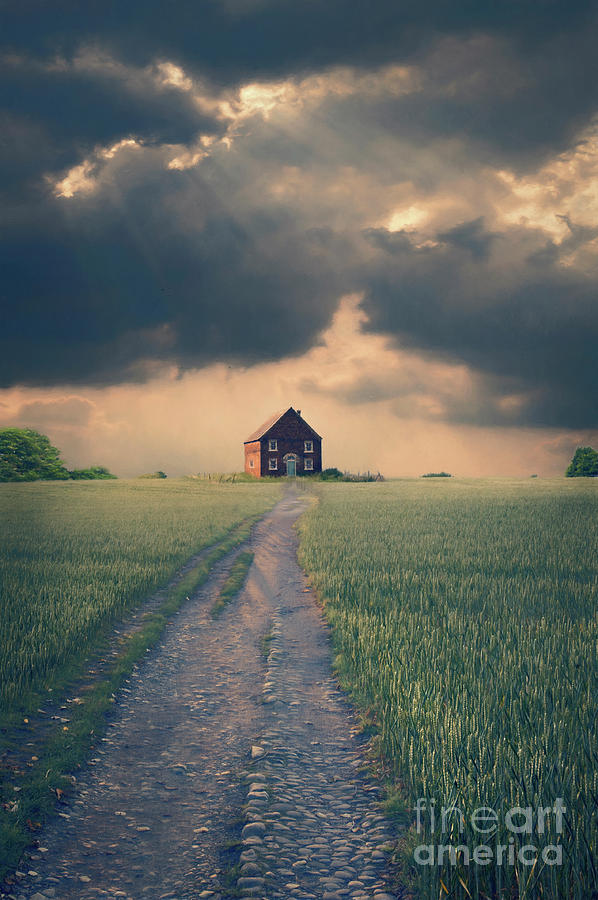 Isolated Cottage Under A Brooding Sky Photograph by Lee Avison