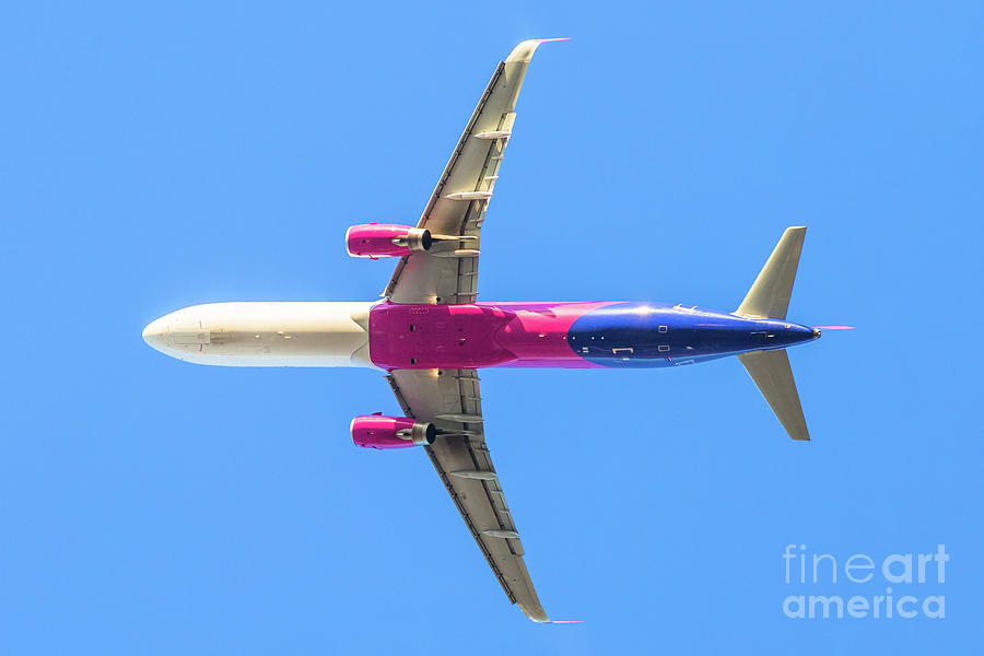 Isolated Pink Airplane Photograph by Benny Marty
