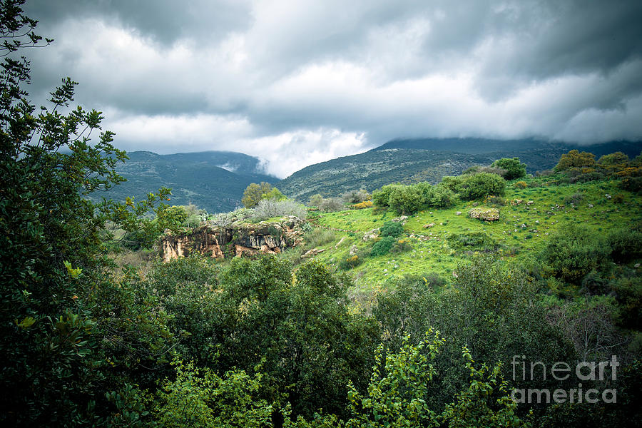 Israel, Landscape, Galilee Photograph by Nir Ben-Yosef