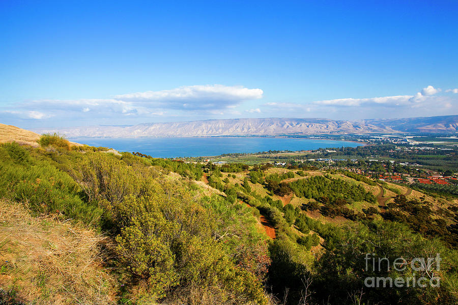 Israel, lower Galilee landscape Photograph by Gal Eitan