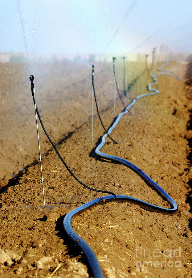 Israel, Negev, watering fields with sprinklers 5 Photograph by