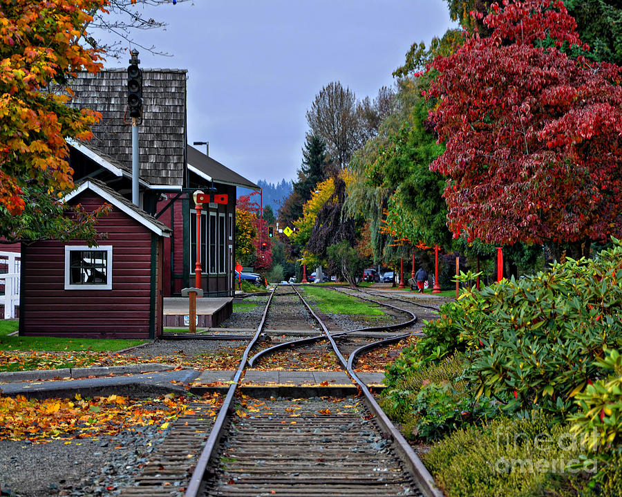 Tree Photograph - Issaquah Train Station by Kirt Tisdale