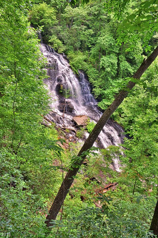 Issaqueena Waterfall South Carolina Summertime Vertical Photograph by Lisa Wooten