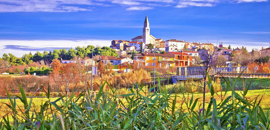 Istrian Town Of Visnjan Panoramic Colorful View Photograph
