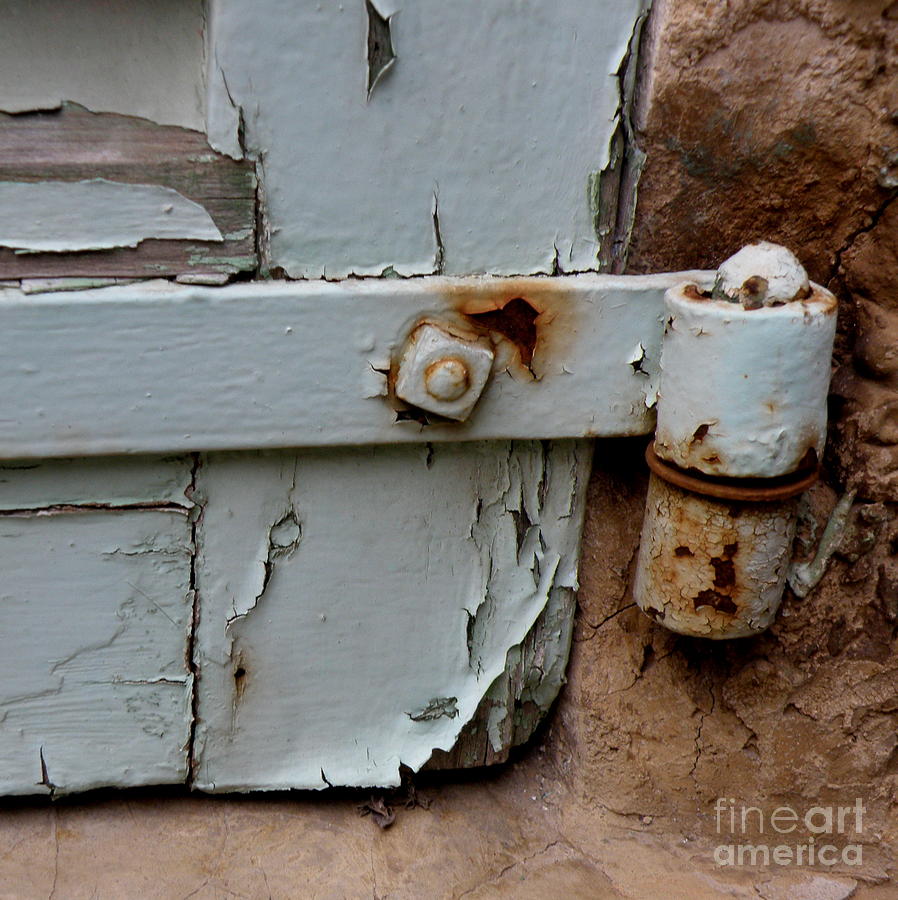 It All Hinges On Photograph by Lainie Wrightson