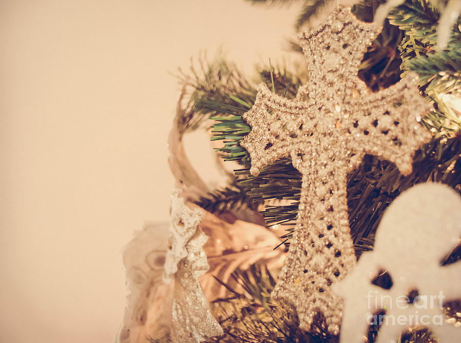 It is Christmas 4 Photograph by Andrea Anderegg