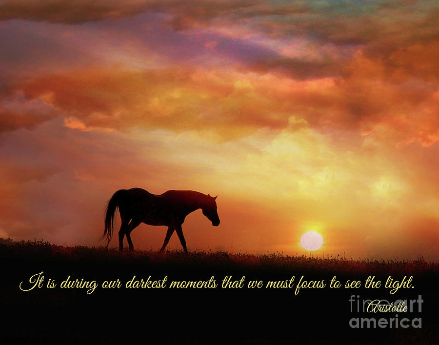 It is during our darkest moments that we must focus to see the light a quote by Aristotle Horse Photograph by Stephanie Laird