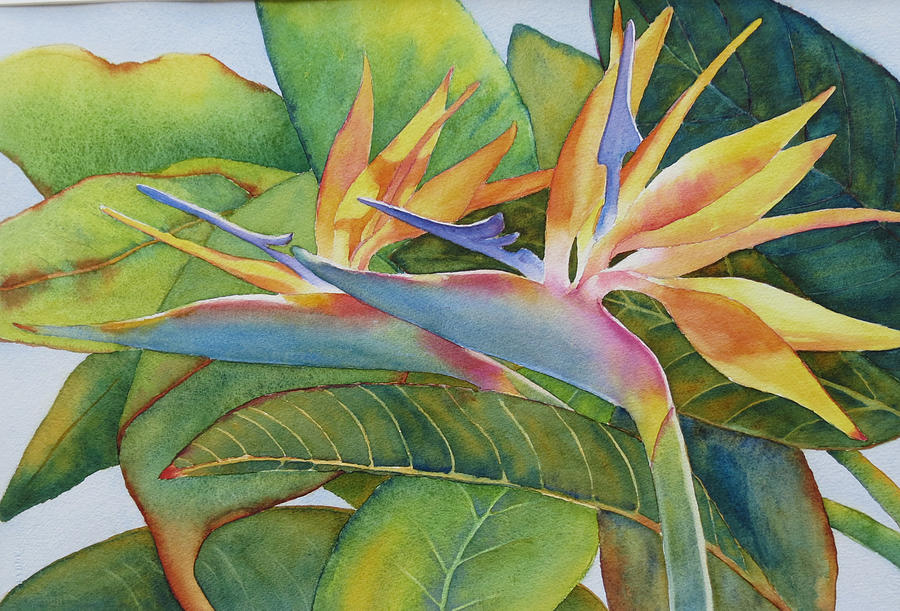 Bird Of Paradise Painting - It Takes Two by Judy Mercer
