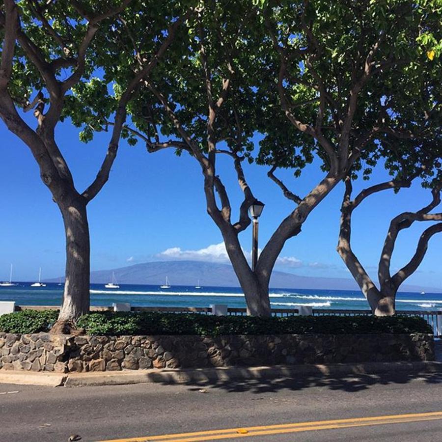 It Was A Beautiful Day In Lahaina Today! Photograph by Darice Machel McGuire