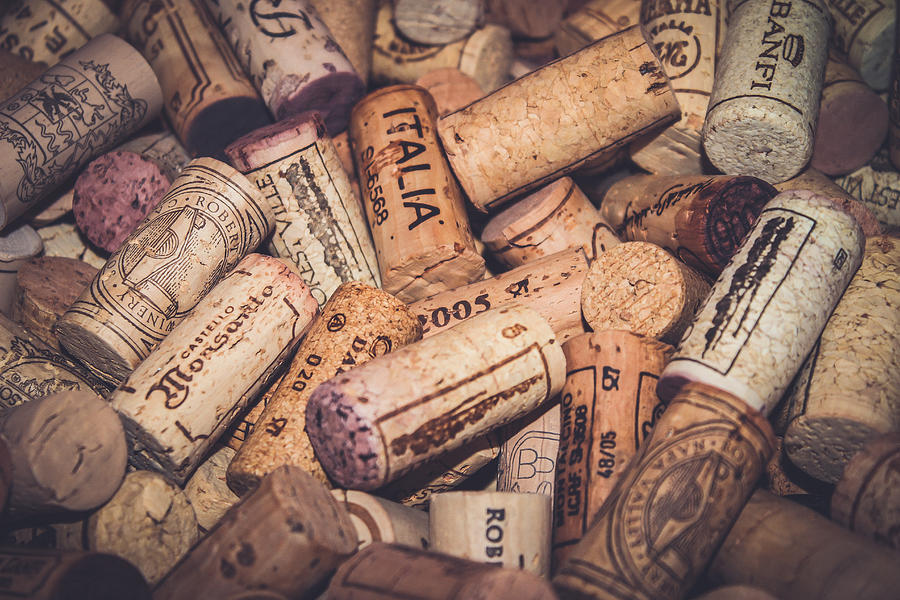 Italia - Corks Photograph by Colleen Kammerer