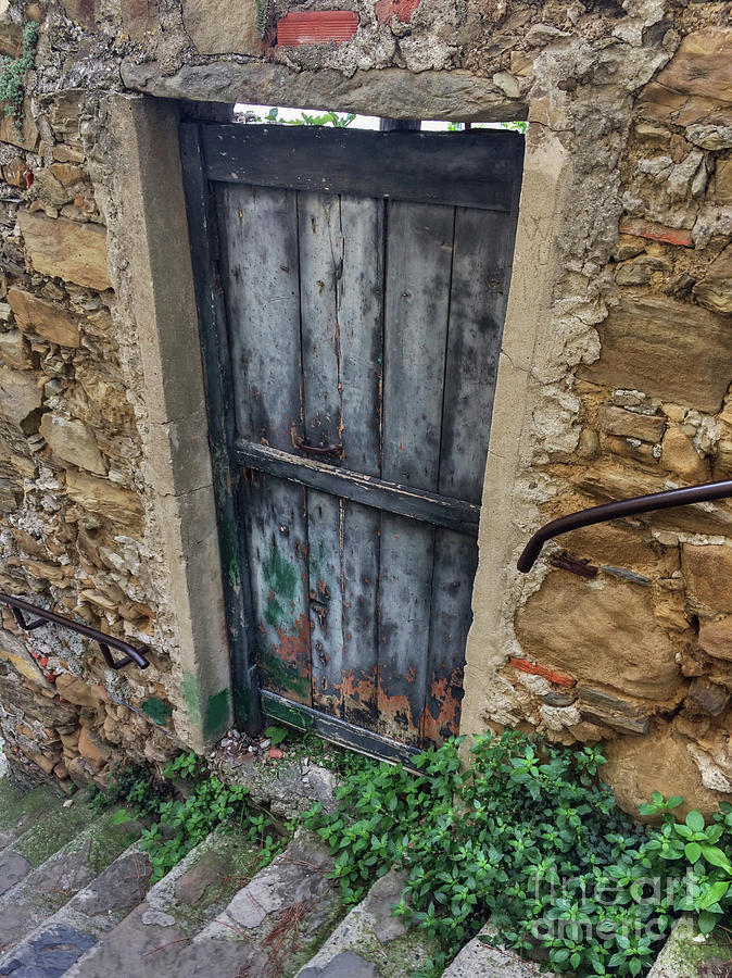 Italian Door #13 Photograph by Jennifer Ludlum
