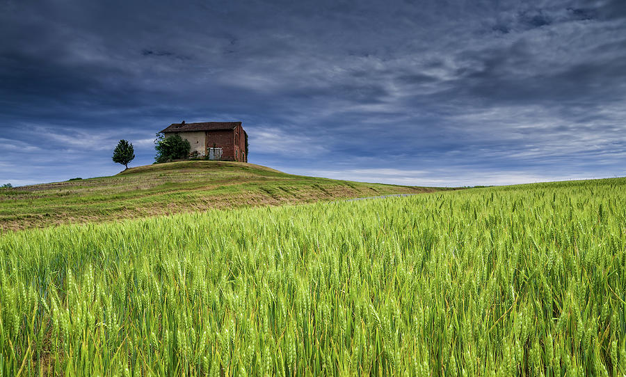 Spring Photograph - Italian farm by Livio Ferrari