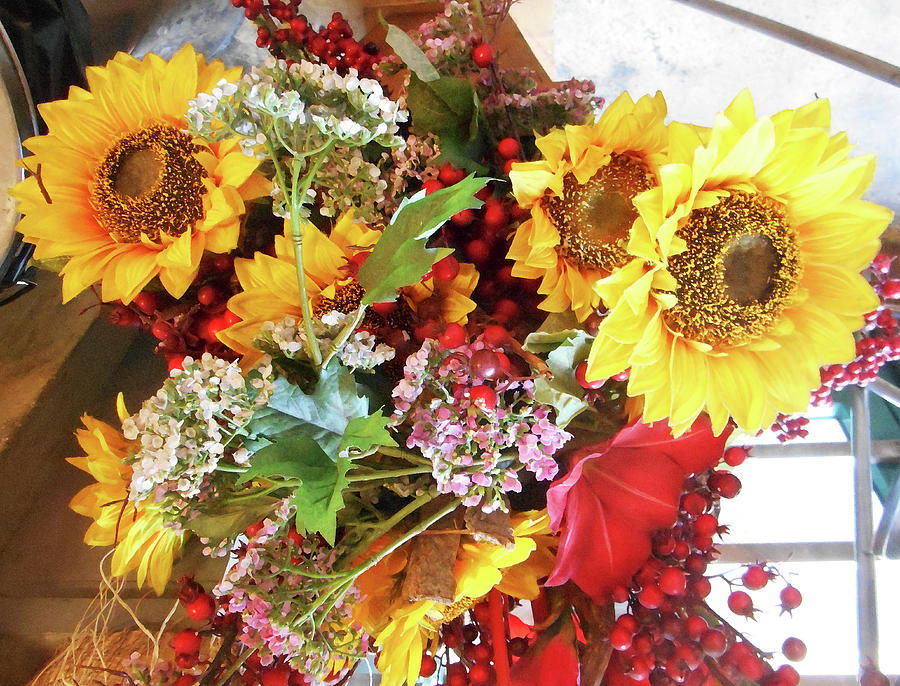 Italian Flower Market Sunflower Photograph