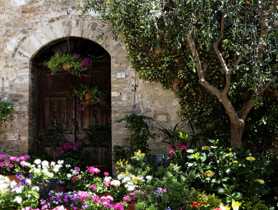 Italian Front Door Adorned with Flowers Photograph by Marilyn Hunt