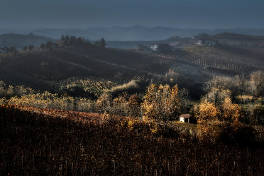 Italian hills Photograph by Livio Ferrari