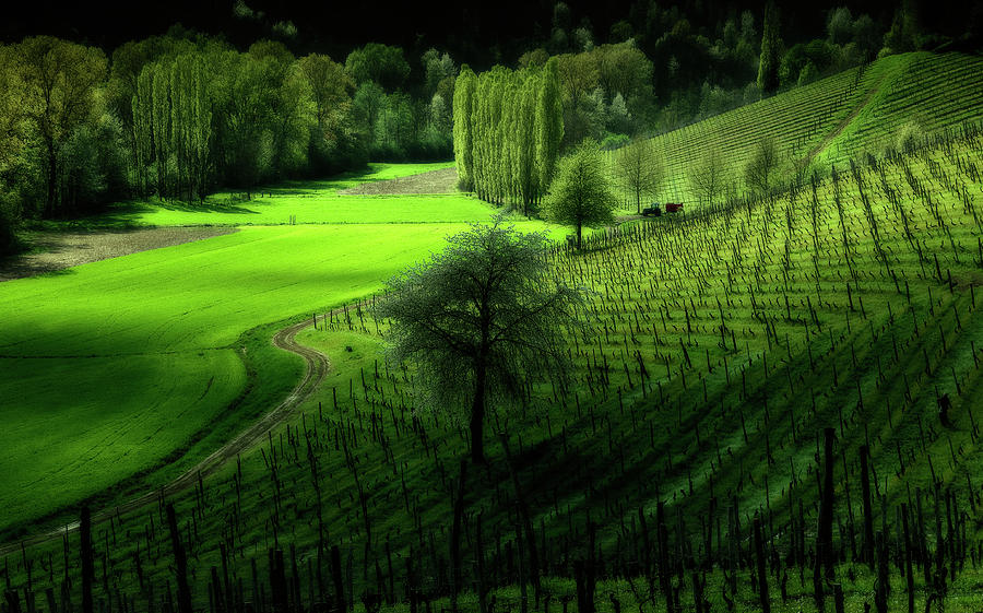 Italian landscape 2 Photograph by Livio Ferrari