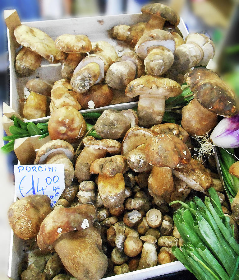 Italian Market Porcini Mushrooms  Photograph by Irina Sztukowski