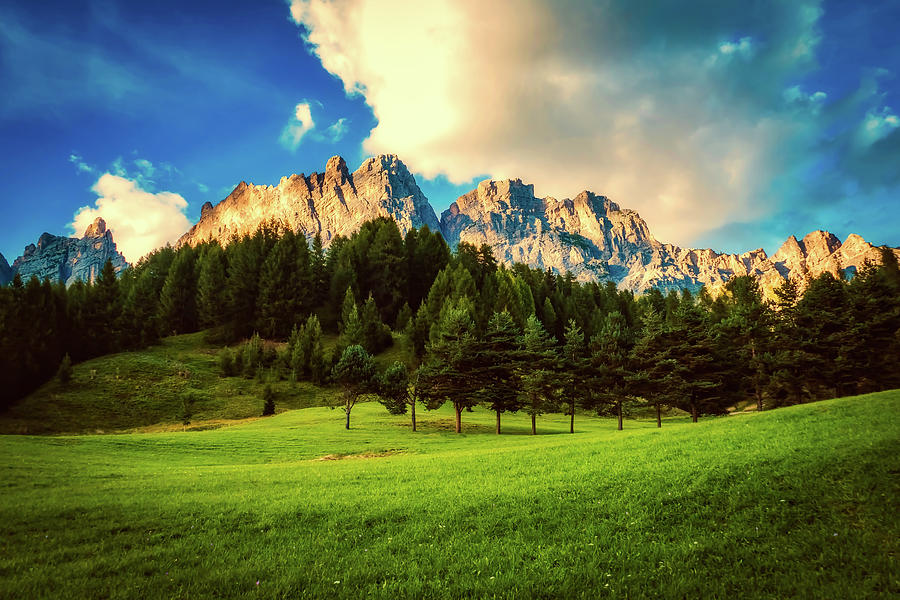 Italian Mountain Meadow Photograph by Mountain Dreams