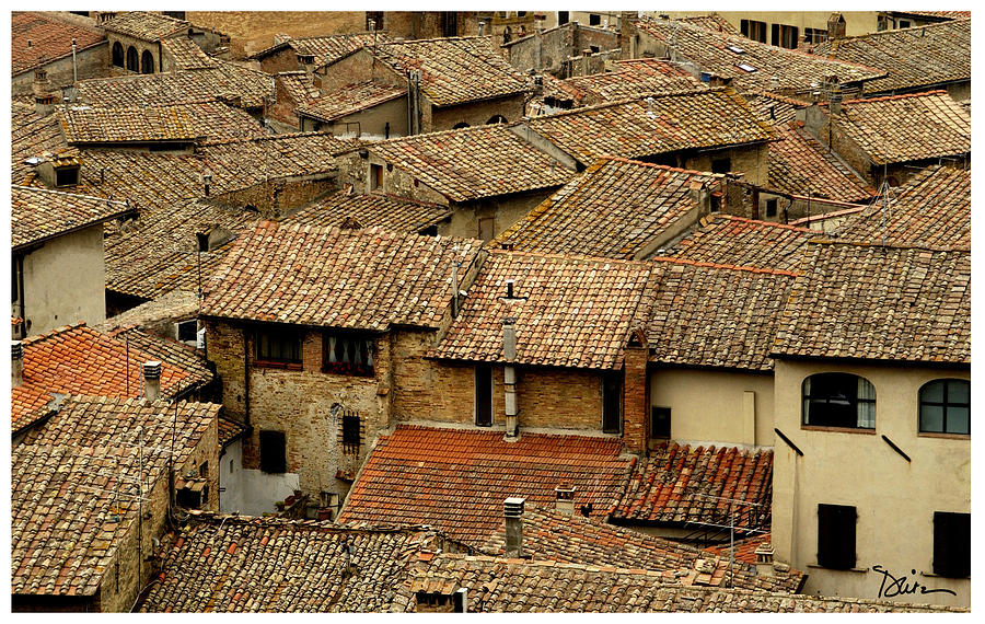 Italian Rooftops Photograph by Peggy Dietz