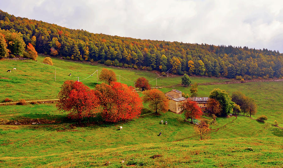 Italian Rural Landscape In Autumn Photograph by Mountain Dreams