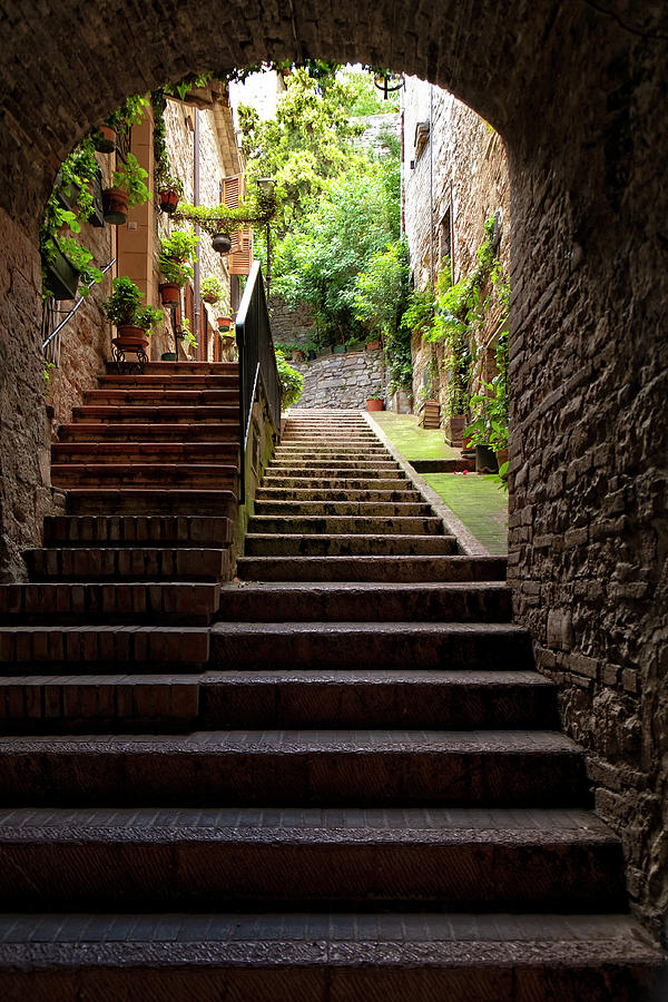 Italian Stairway Photograph by Catherine Reading
