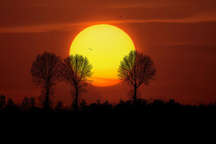 Italian Sunset Photograph by Wolfgang Stocker