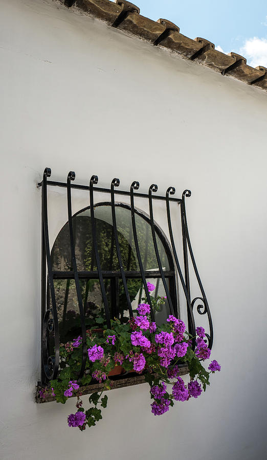 Italian villa window Photograph by Jocelyn Kahawai