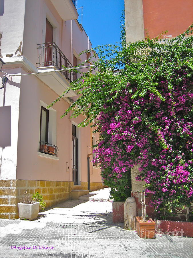 Italian Village and Bouganville flowers Photograph by Italian Art