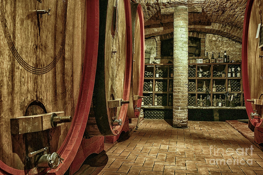 Italian wine cellar Photograph by Patricia Hofmeester
