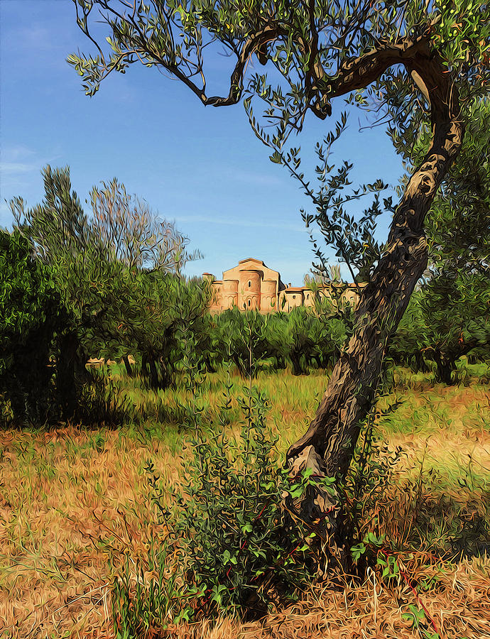 Italy, olive trees and an ancient abbey Painting by AM FineArtPrints