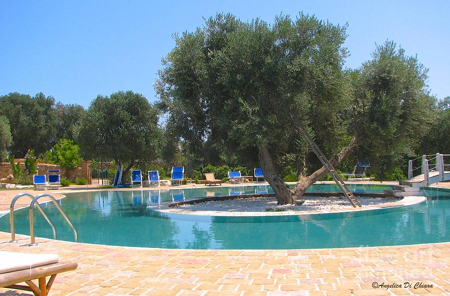 Italy Resort- Olive Tree in Pool Photograph by Italian Art