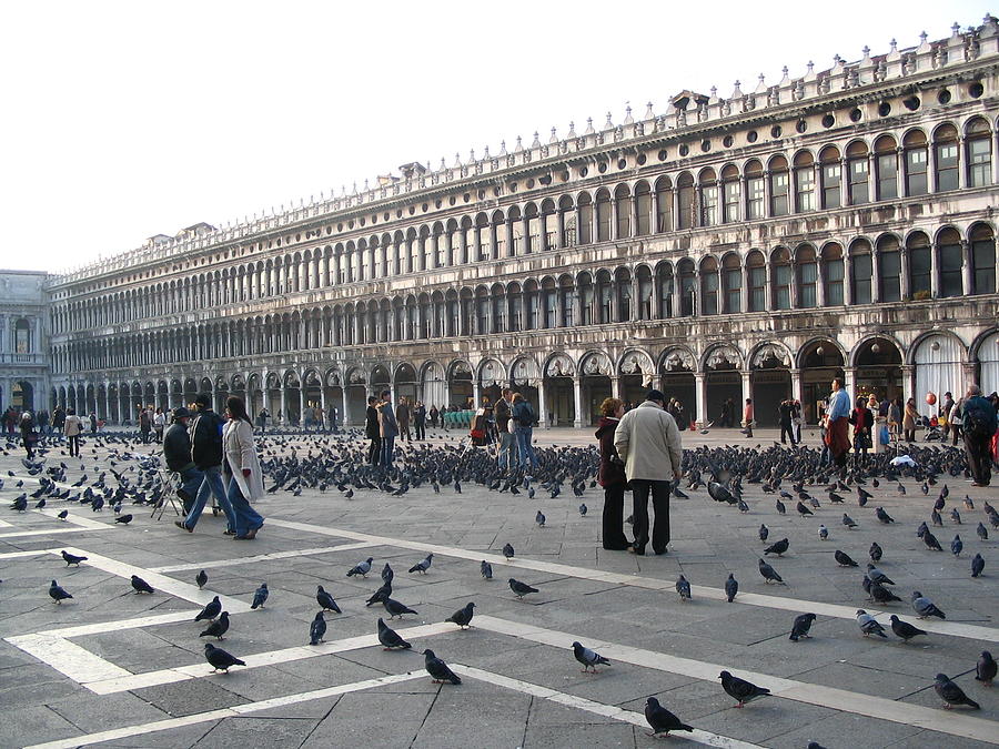 Italy Venice  St Marks Sq Photograph by Yvonne Ayoub