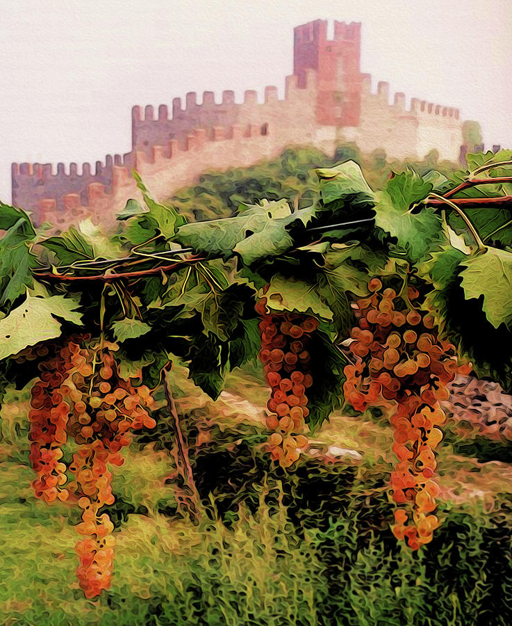 Italy, vineyards and castles Painting by AM FineArtPrints