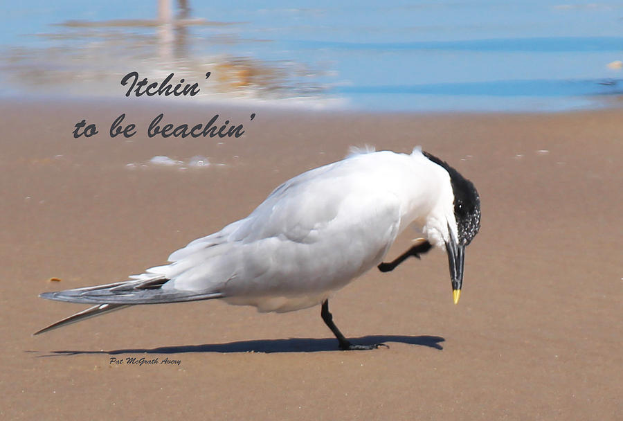 Beach Photograph - Itchin to be beachin by Pat McGrath Avery Beach Photograph - Itchin to be beachin by Pat McGrath Avery