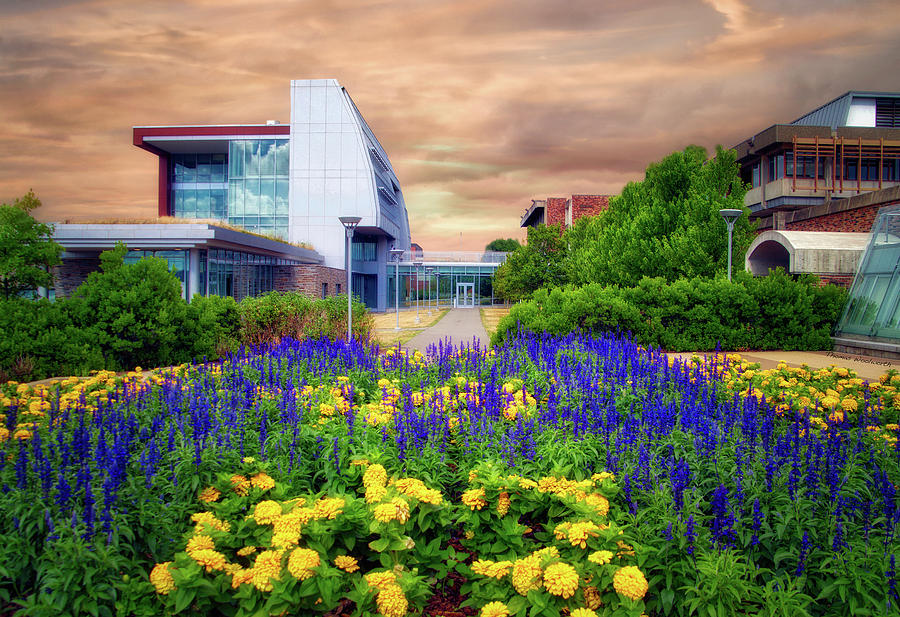 Ithaca College Ithaca New York Floral 01 Photograph by Thomas Woolworth
