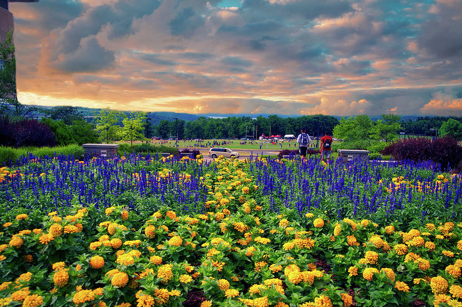 Ithaca College Ithaca New York Floral 03 Photograph by Thomas Woolworth