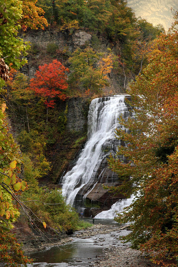 Ithaca Falls Photograph by Jessica Jenney