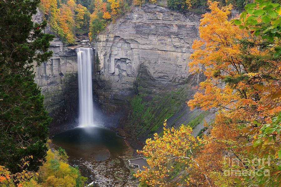 Ithaca is Gorges Photograph by Tom Schwabel