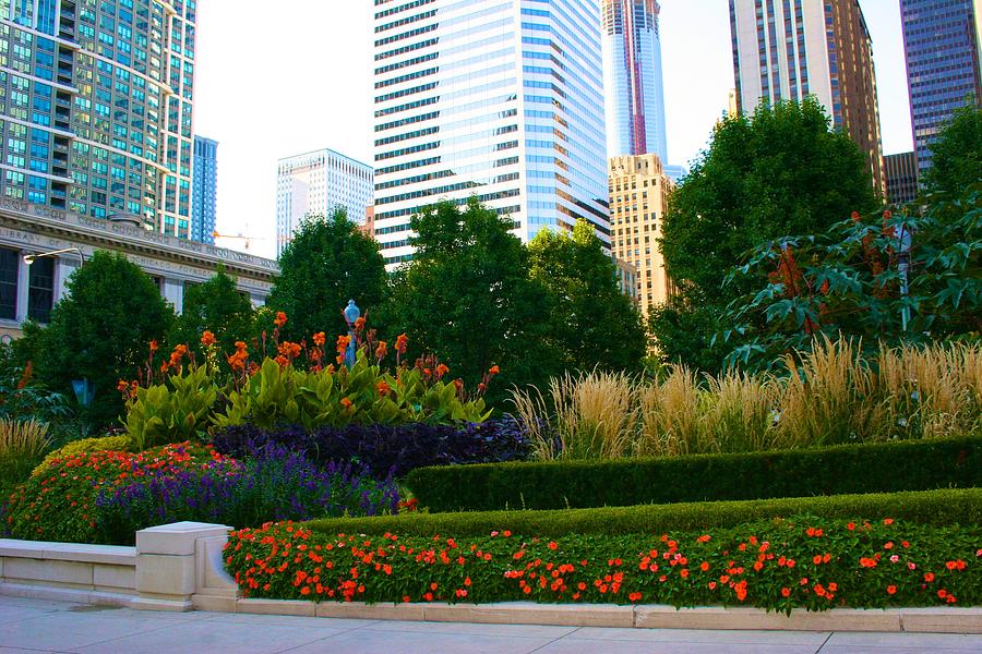 The Park in Chicago Photograph by Polly Castor