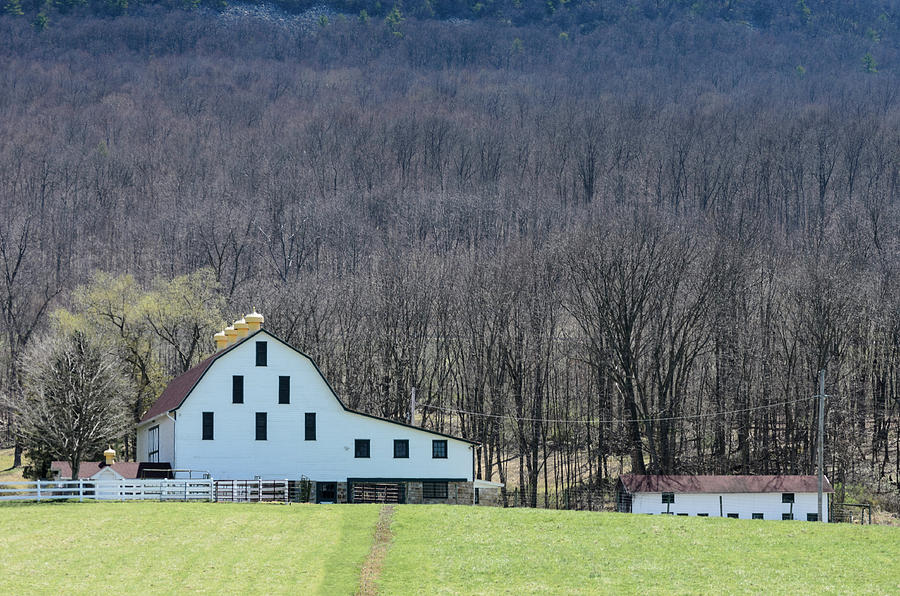 Its a Barn and More Photograph by Stewart Helberg
