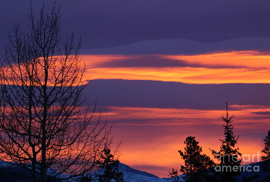 Its A Colorado Morning Photograph by Fiona Kennard
