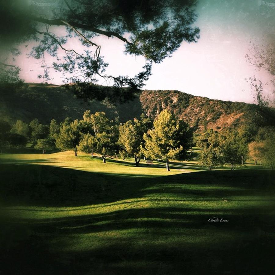Golf Photograph - Its A Hard-knock Life For Us by Christi Evans