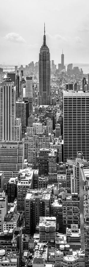 Empire State Building Photograph - Its A Jungle Out There by Az Jackson